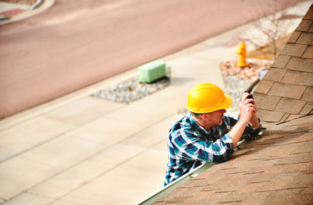 Roof Moss and Algae Removal in Bellevue, KY